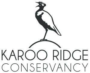 Karoo Ridge Conservancy Black Logo Transparent Background